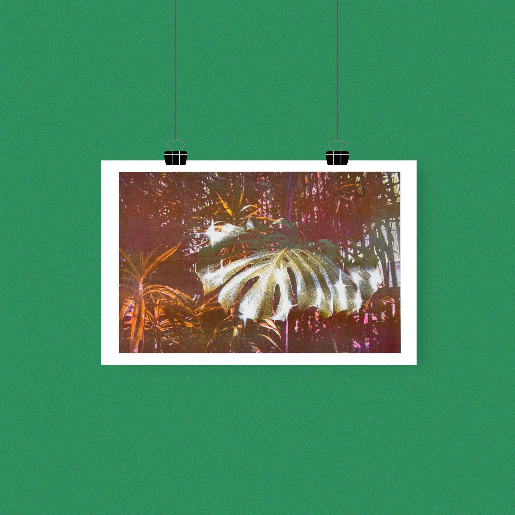 Monstera Riso Print