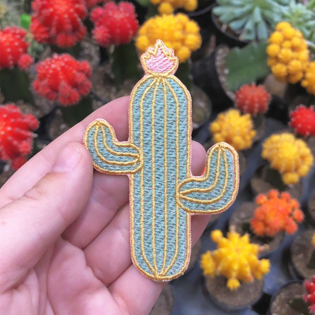 Gold Cactus Patch