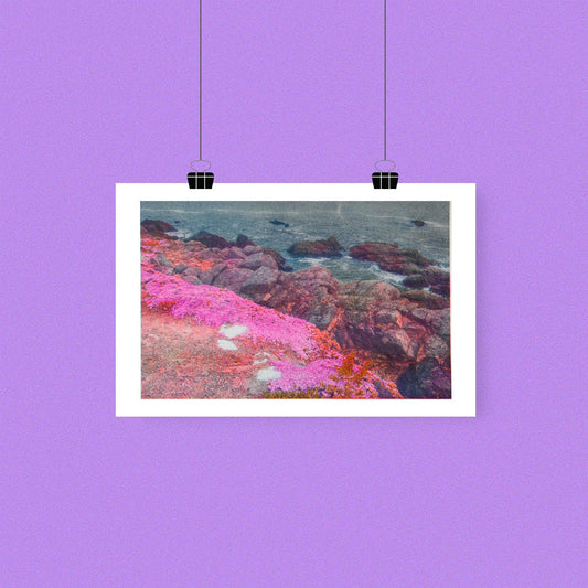 Wildflower Shore Riso Print
