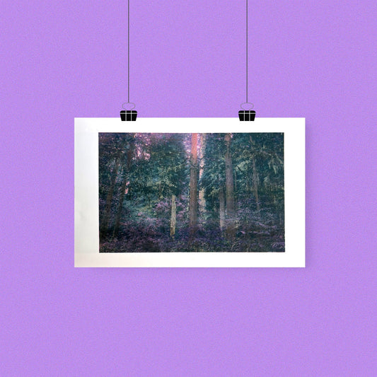 Forbidden Forest Risograph Print